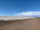 3/8/47 Se, Haxtun, CO
