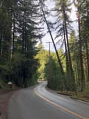 APN 074-142-22, Zayante, CA