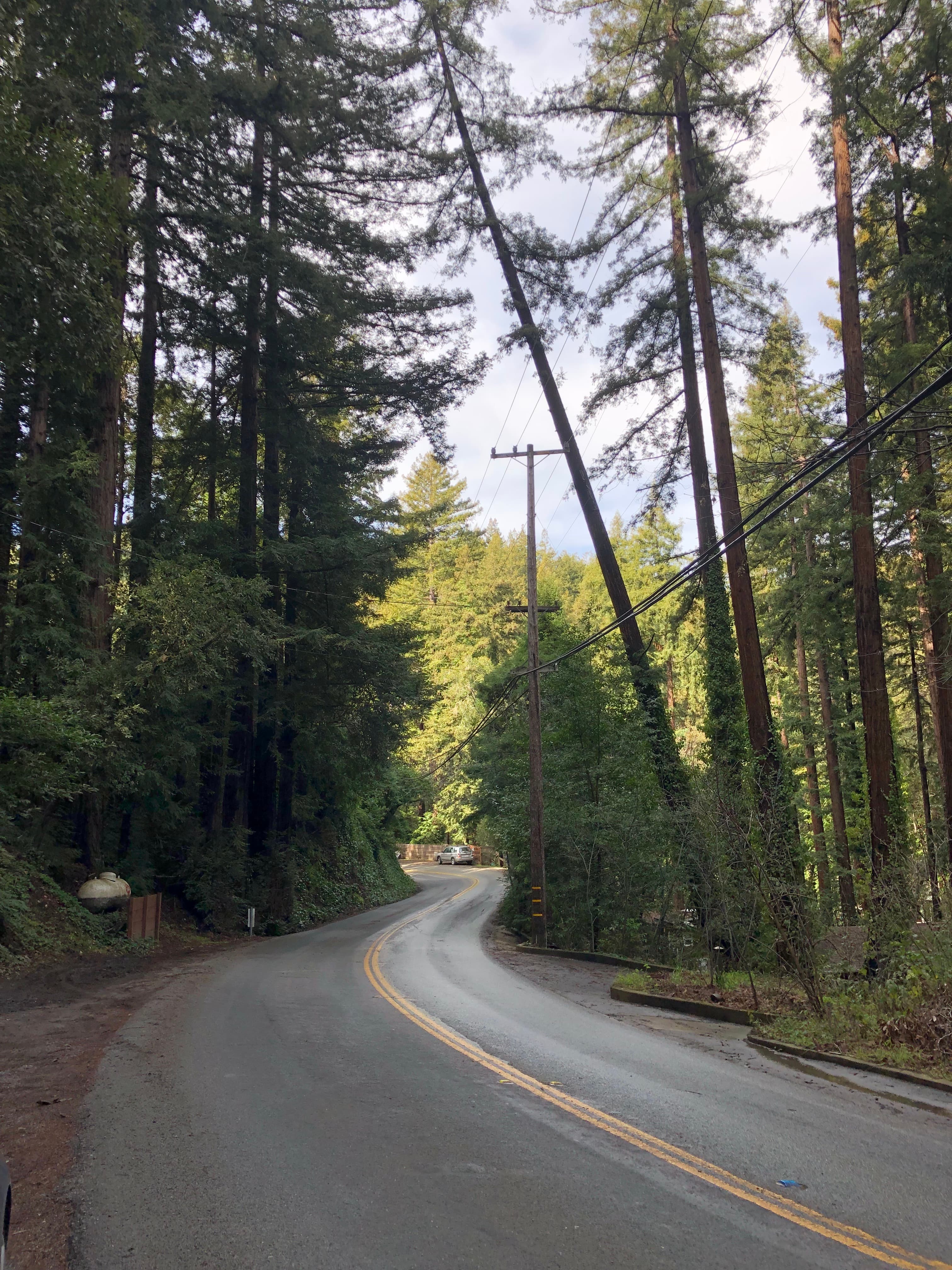 Easy Zayante Road