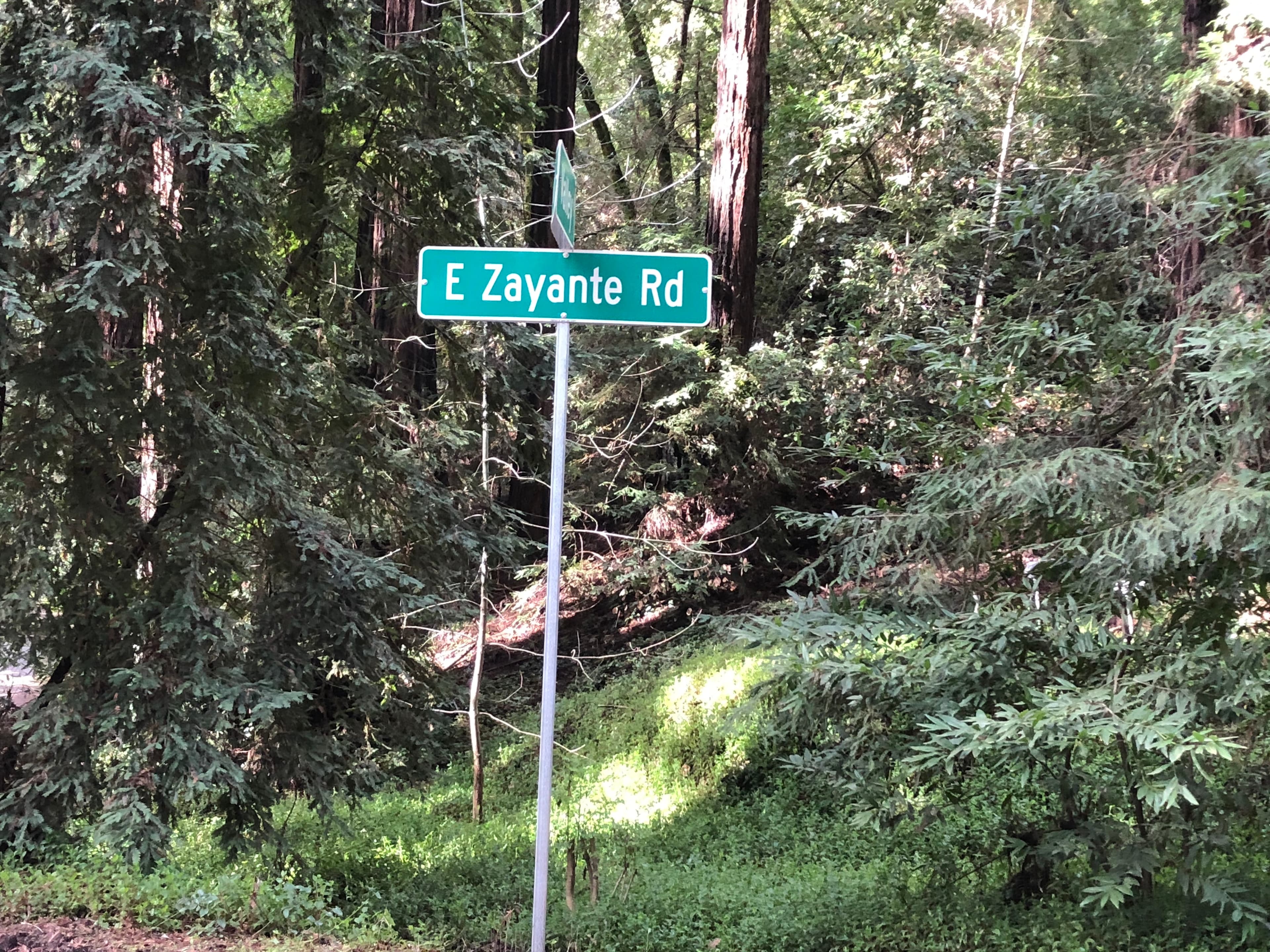 East Zayante Rd is an scenic road in the woods