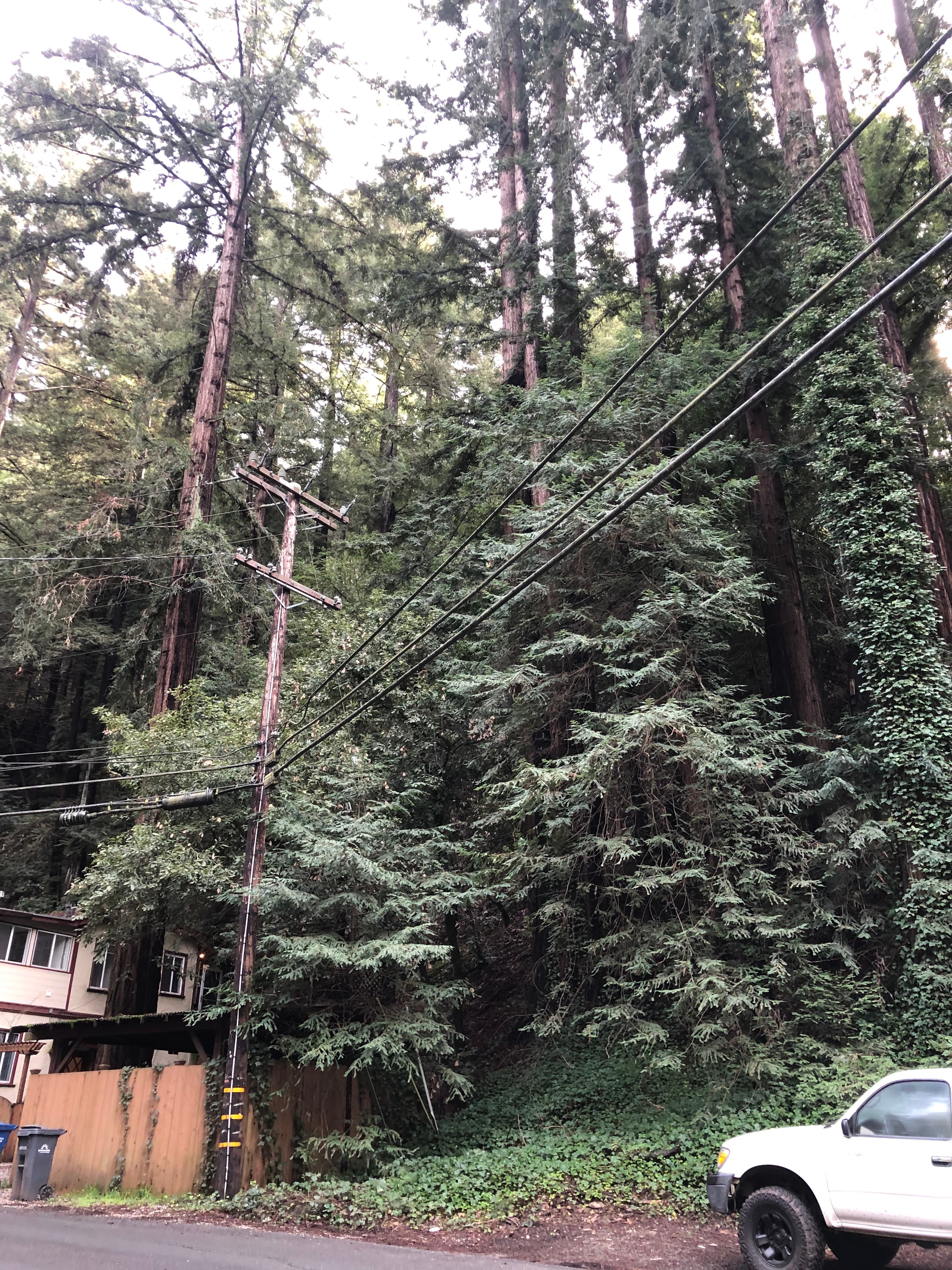 Electricity is available