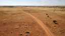 34 8135, Concho, AZ