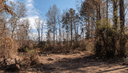 588 Roby Fulk Rd, Pinnacle, NC