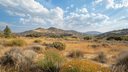APN 1991820200, Borrego Springs, CA