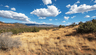 55233 N Via De Oro Pkwy, Seligman, AZ