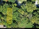 3100 Clay Street, Alton, IL (#006)
