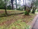 208 Nevada Street, Hot Springs, AR