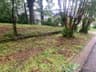 208 Nevada Street, Hot Springs, AR