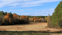588 Roby Fulk Rd, Pinnacle, NC
