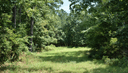 588 Roby Fulk Rd, Pinnacle, NC