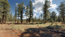 2908 S Westwind Rd, Williams, AZ