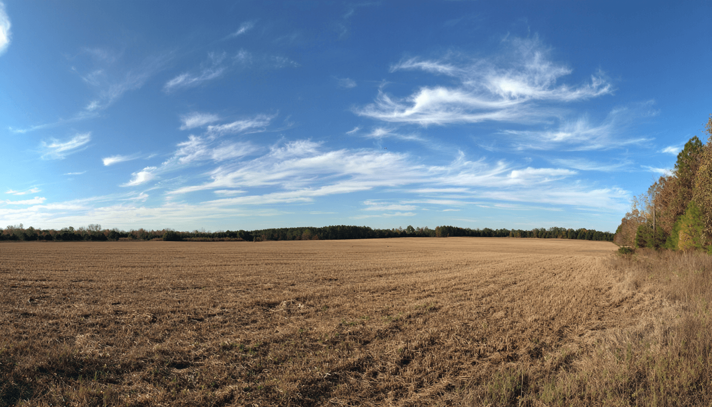 Illustrative Purpose - Not the Actual Property