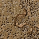 APN 00633B008, Elko, NV