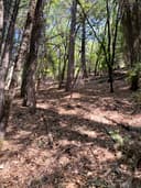 APN 058-062-110, Dunsmuir, CA