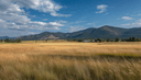 [Removed] 9230 Montana Highway 35, Bigfork, MT