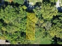 3100 Clay Street, Alton, IL (#004)