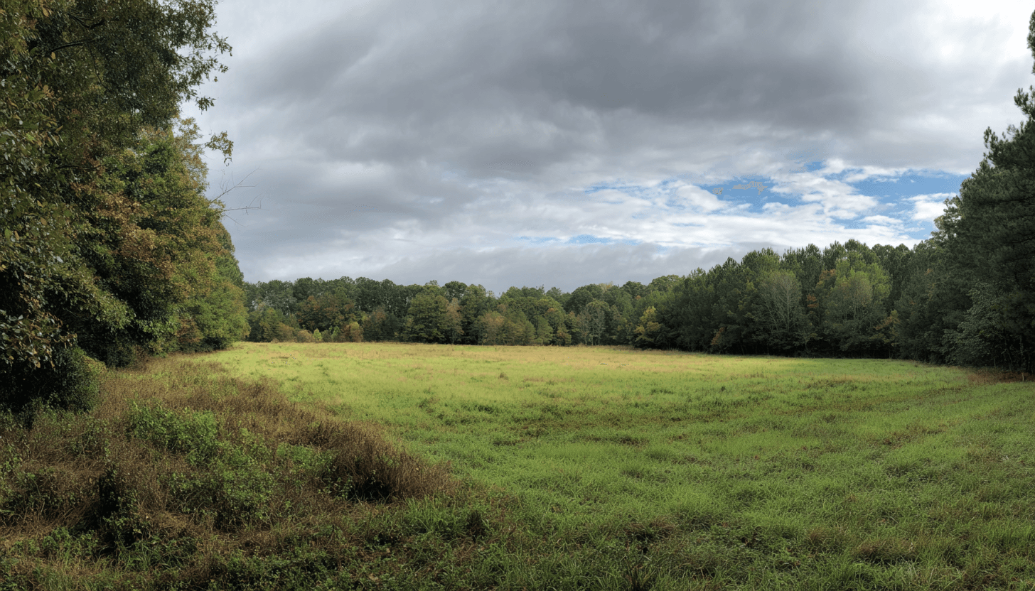 Illustrative Purpose - Not the Actual Property