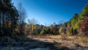 588 Roby Fulk Rd, Pinnacle, NC